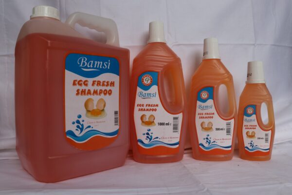 Bamsi Egg Fresh Shampoo